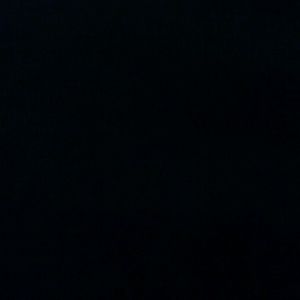 Meet your Posher, Daisy